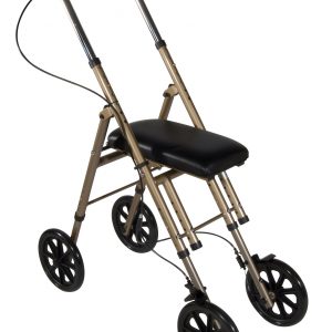 Economy Knee Walker